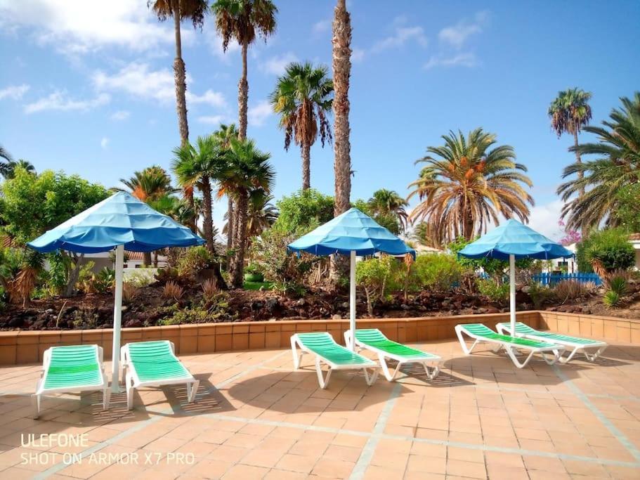Bungalow Tropical Con Piscina Y Aire Acondicionado 마스팔로마스 외부 사진