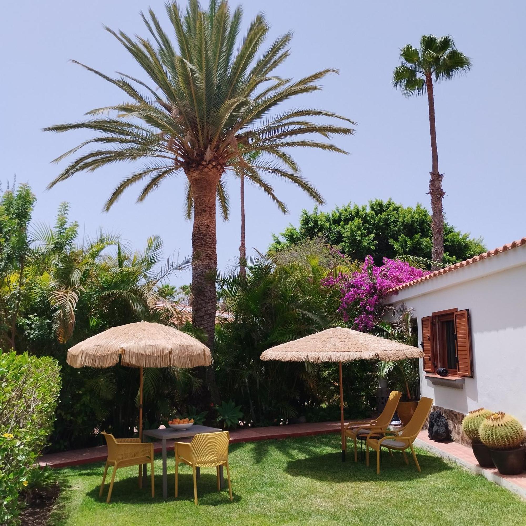 Bungalow Tropical Con Piscina Y Aire Acondicionado 마스팔로마스 외부 사진