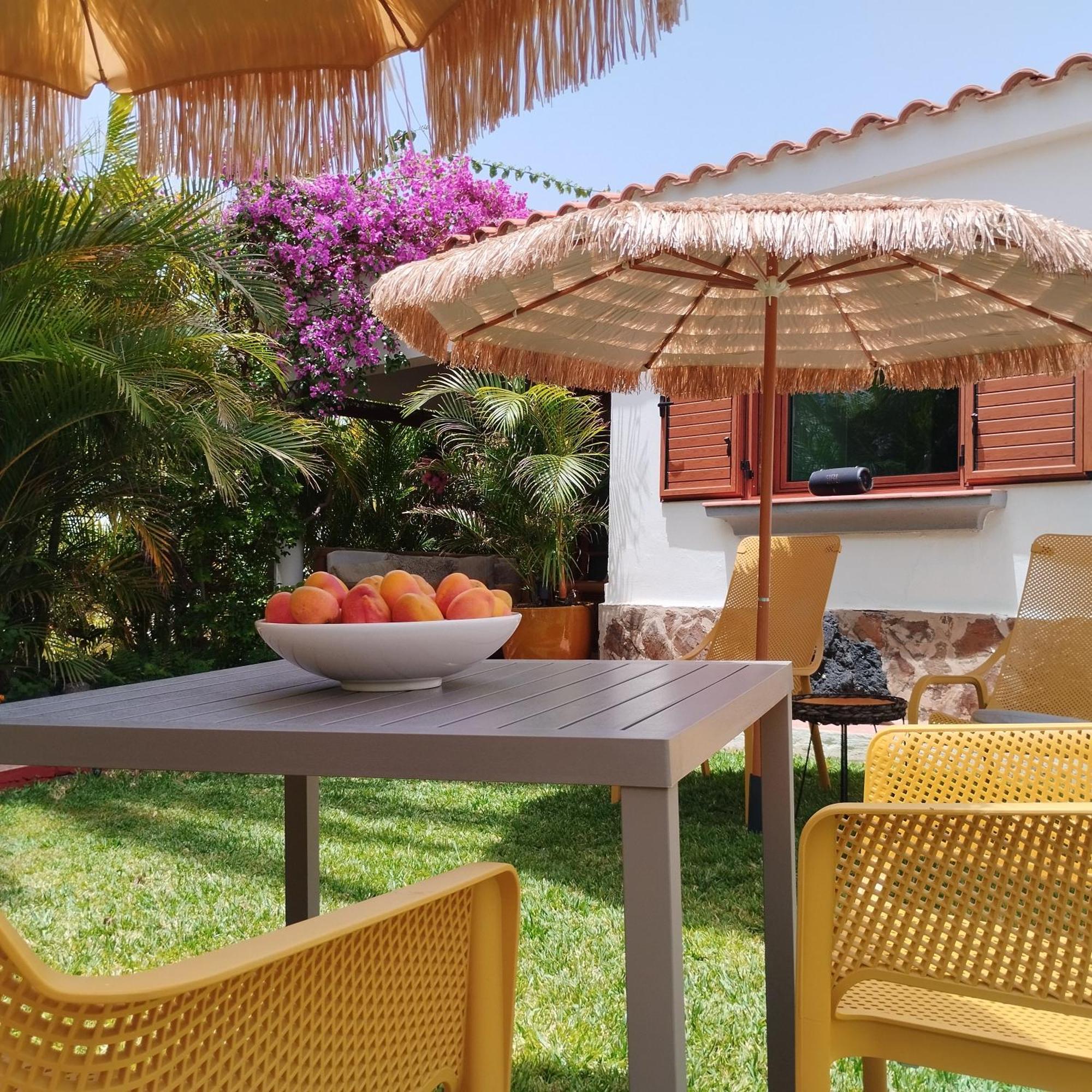 Bungalow Tropical Con Piscina Y Aire Acondicionado 마스팔로마스 외부 사진